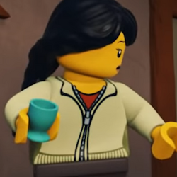 Ninjago 2010 new arrivals