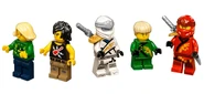 Lego-71741-ninjago-city-gardens-minifiguren-03-1.jpg (47 KB)