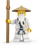 Inverted color kimono Master Wu