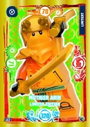 2 Arin LEGO Ninjago Series 9
