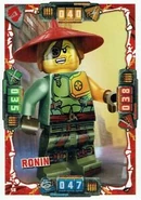 RoninTradingCard.jpg (19 KB) Ronin's Trading Card
