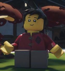 lego ninjago evil kai