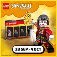 Promotional image for 5005257 NINJAGO Minifigure Collection