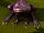 Purple bog frogs