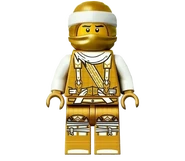 DMSuitGold.png (963 KB) Dragon Masters Wu