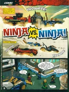 Ninja vs ninja.jpg (828 KB)