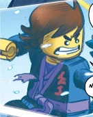 Young adult (Garmadon/Shatterspin)