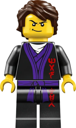 71861 The Old Town | Ninjago Wiki | Fandom