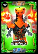 NinTCG7 118.jpg (3.56 MB)