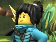 tales from the monastery of spinjitzu