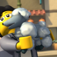 Snickers with their owner