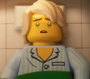 Pajama Lloyd (The LEGO Ninjago Movie)