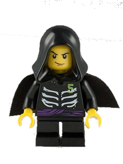 Catégorie:Figurines Ninjago, Wiki LEGO