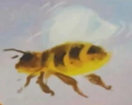 Bee.jpg (77 KB) In The New Heroes
