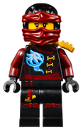 Nya Minifigure 2016.png (254 KB) Destiny Nya minifigure