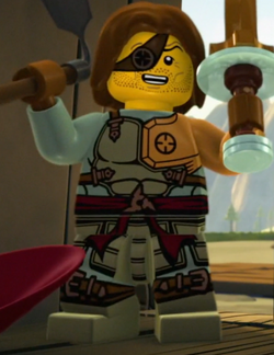 Ninjago ronin shop