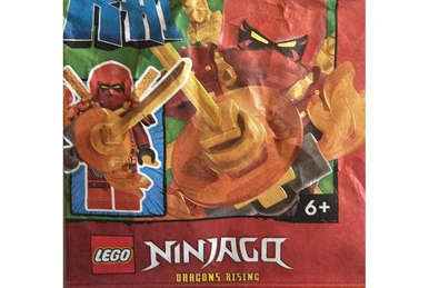 892312 Sora | Ninjago Wiki | Fandom