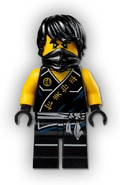 Tournament Cole Minifigure.png (229 KB) Tournament Cole