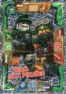 Card 100 - Team Sky Pirates