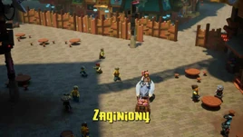 Zaginiony