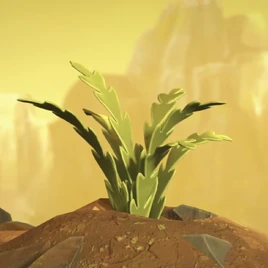 Christofern the Fern