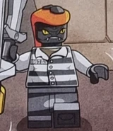 Prisoner (non-canon)