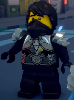 Lego ninjago stone armor cole 2025