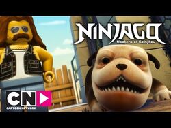 Ninjago dog online