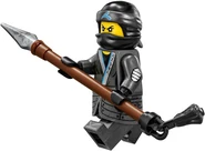 TLNMNya Fig2.jpeg (34 KB)