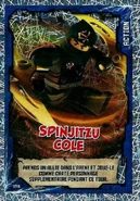 Card 178 - Spinjitzu Cole