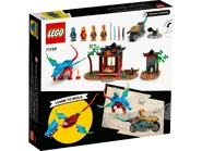 71759 Ninja Dragon Temple Box Backside.png (2.28 MB)