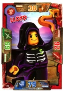 Card 25 - Lloyd