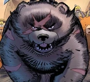 Scarred bear.jpg (132 KB) Scarred bear