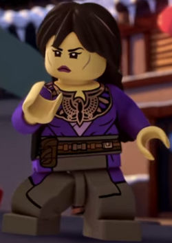 Elemental Master of Shadow Ninjago Wiki Fandom