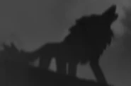 LoM Wolf.jpg (39 KB) Land of Monsters wolf
