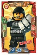 Card 45 - Karlof