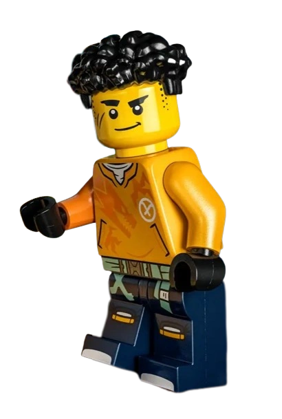 Arin Gallery Ninjago Wiki Fandom
