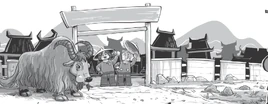 Sally Bob farm