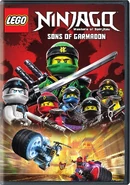 Season 8: Sons of Garmadon DVD