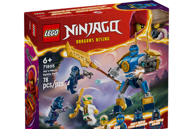 LEGO Ninjago Caja Ninja de Bricks Creativos 71787