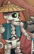 Bone collector 1.jpg (211 KB) Skulkin with a rice hat
