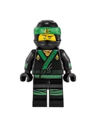 TLNMLloyd Fig.jpeg (37 KB)