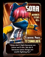 Sora's DR S2 Card.jpg (273 KB)