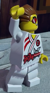 As seen in LEGO Dimensions