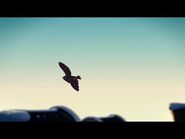 Michael Kramer - Ninjago Soundtrack - Falcon Chase (From Season 1, Episode 7)