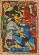 Card LE6 - Team Ninja
