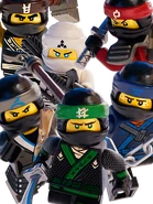 The ninja in their Ninja Force gi