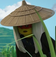 Quiet One (straw hat)