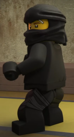 https://static.wikia.nocookie.net/ninjago/images/6/68/Black_Kai.png/revision/latest/scale-to-width-down/250?cb=20220614105720
