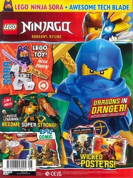Dragons in Danger!
